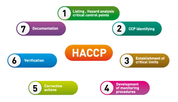 Demystifying HACCP: A Key Ingredient in Ensuring Safe Beef Jerky