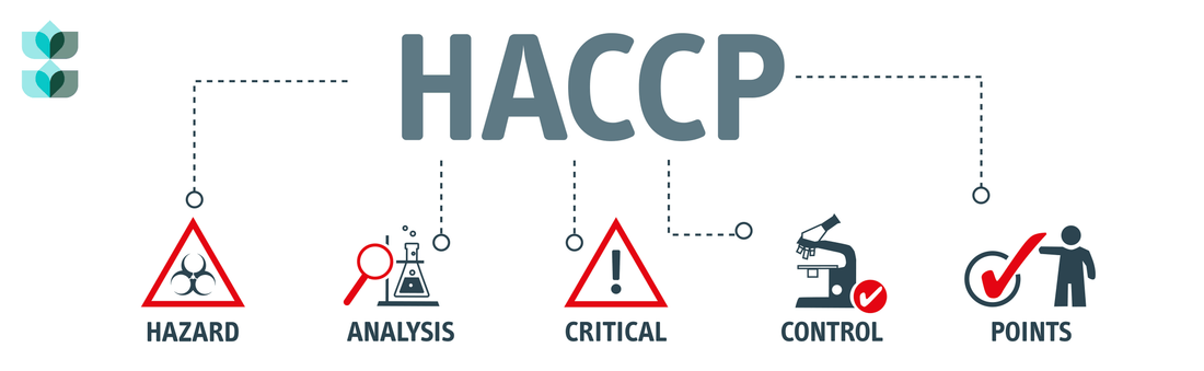 Ensuring Safety and Quality: The Significance of HACCP in Beef Jerky Making - The Daily Jerky